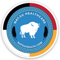 NAT-SU Round Sticker 4"- Arrows Buffalo / Feathers